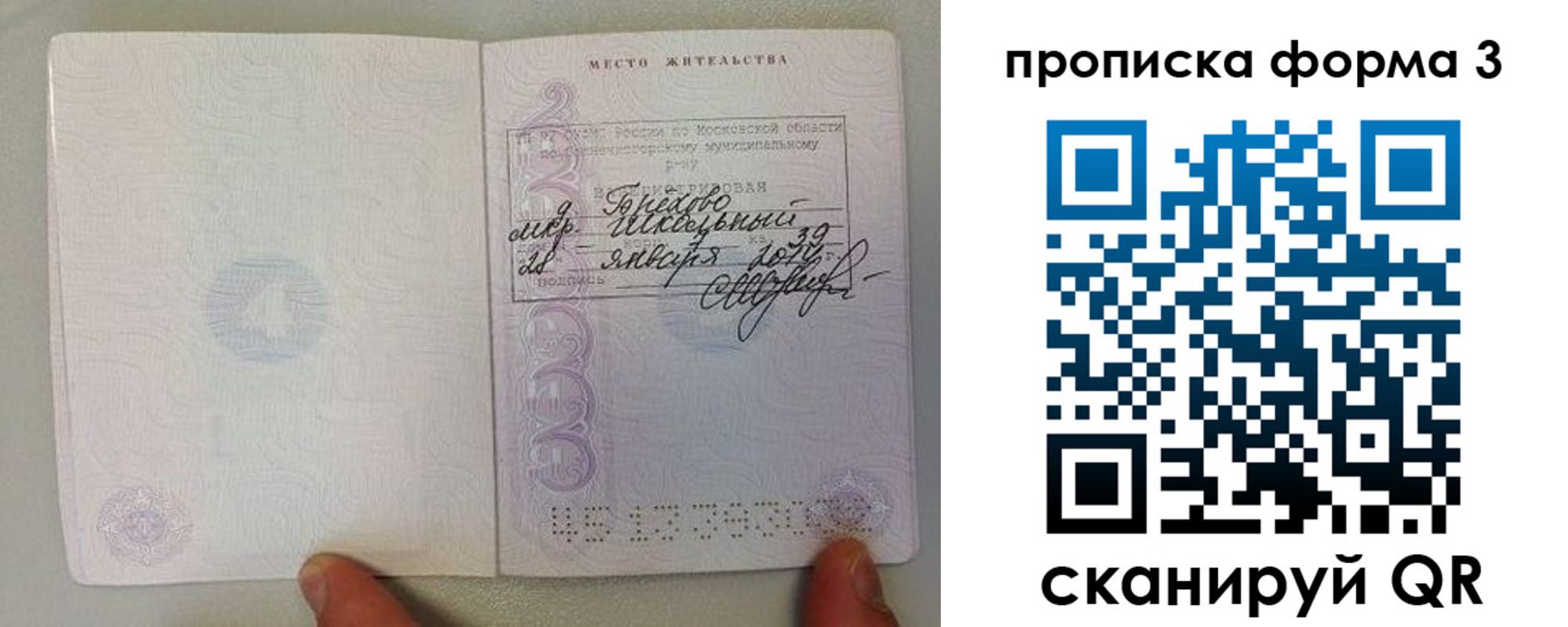 прописка гарантия в Москве